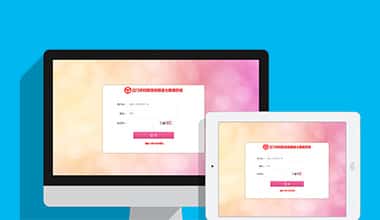 台湾市妇联数据信息三级报送系统